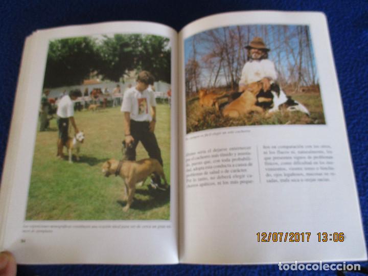 Libros de segunda mano: EL PIT BULL Guido de rosa - Foto 13