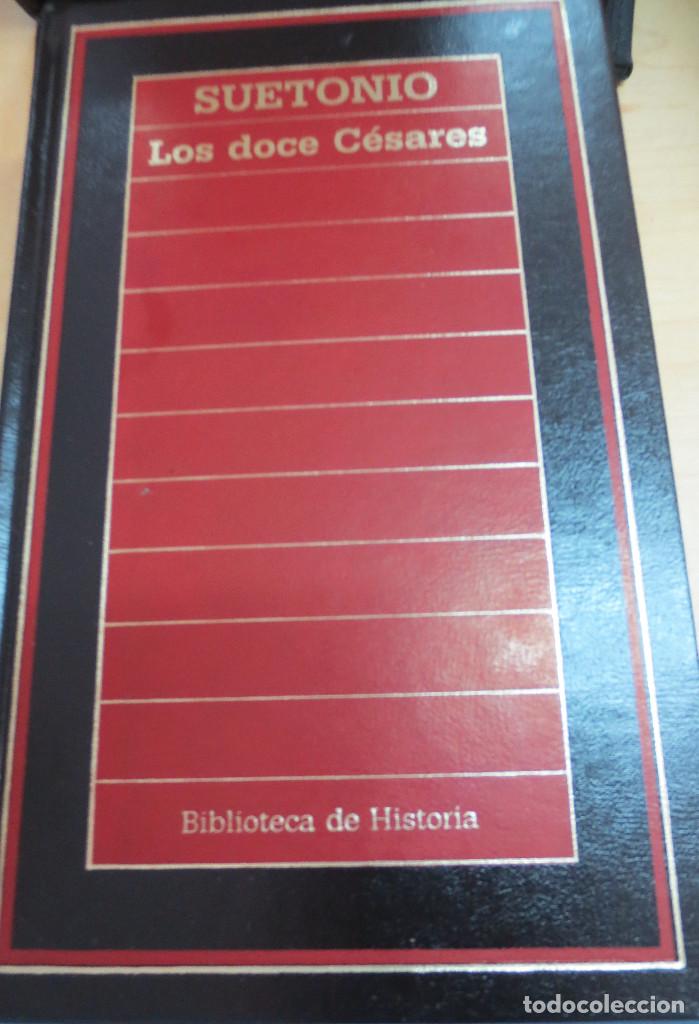Libros de segunda mano: LOS DOCE C&Eacute;SARES SUETONIO EDIT ORBIS A&Ntilde;O 1985 - Foto 1