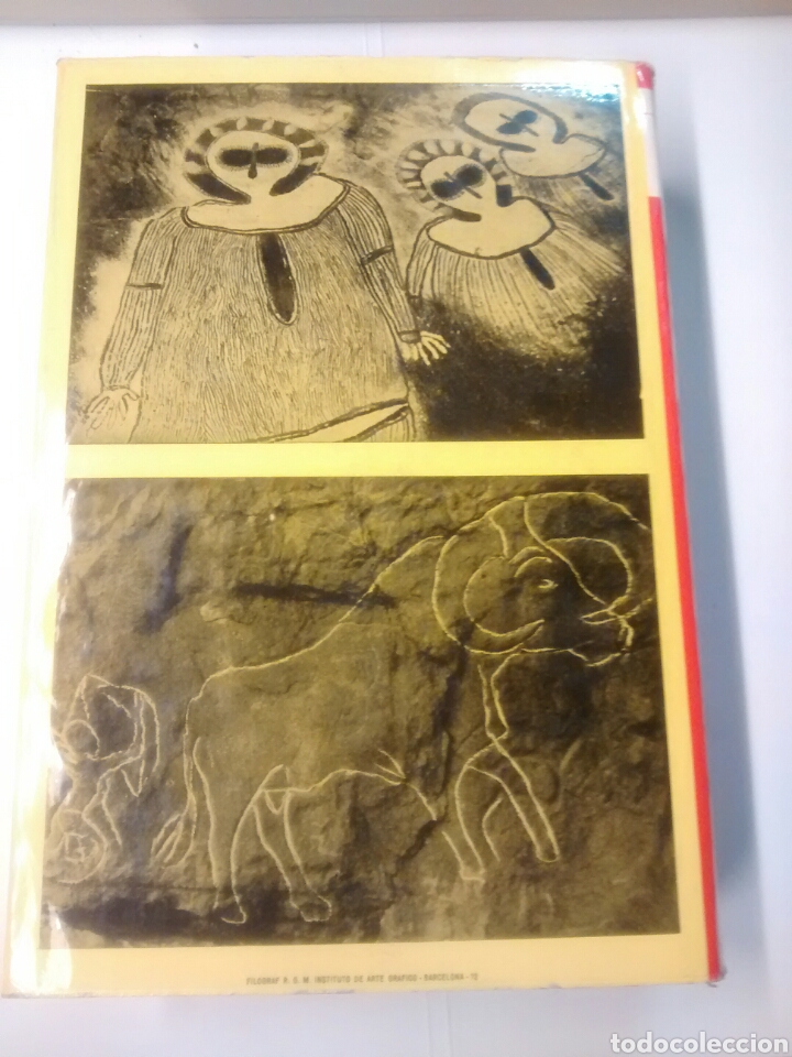 Libros de segunda mano: Tras las huellas de Ad&aacute;n - Herbert Wendt - 1962 - Foto 2