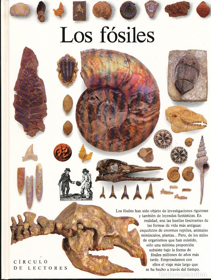 Libros de segunda mano: Los f&oacute;siles, C&iacute;rculo de Lectores, Barcelona, 1992 - Foto 1