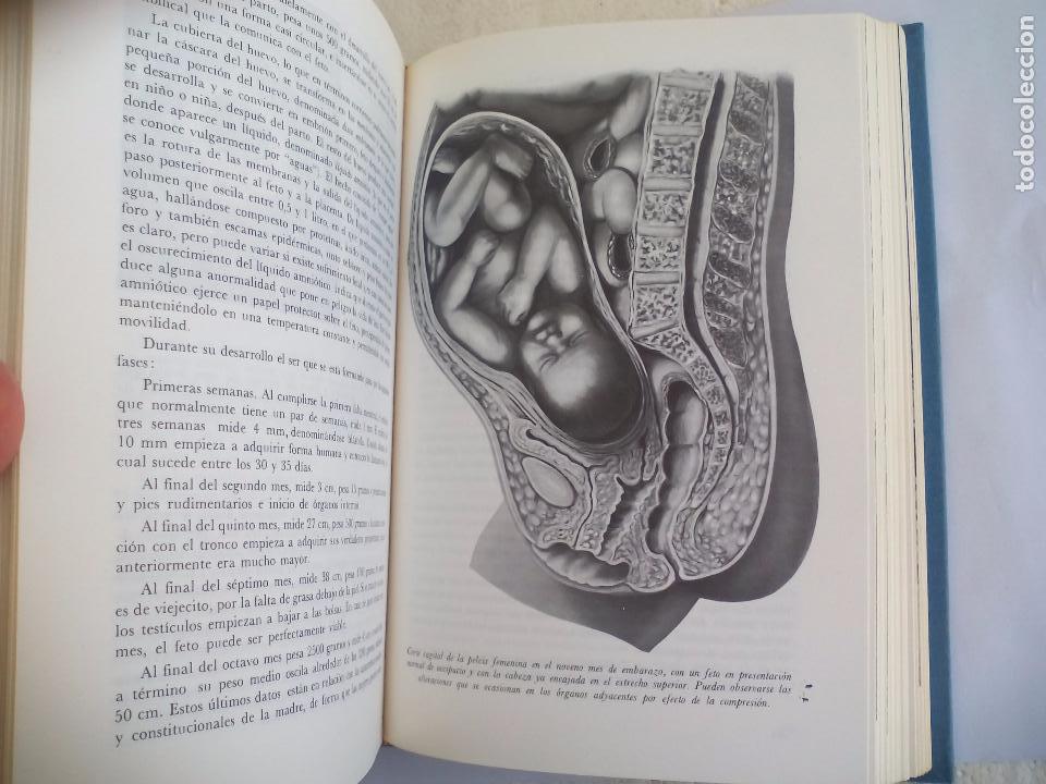 Libros de segunda mano: El Libro de la vida sexual. Juan Jos&eacute; L&oacute;pez Ibor.  1968. Ediciones Danea - Foto 4
