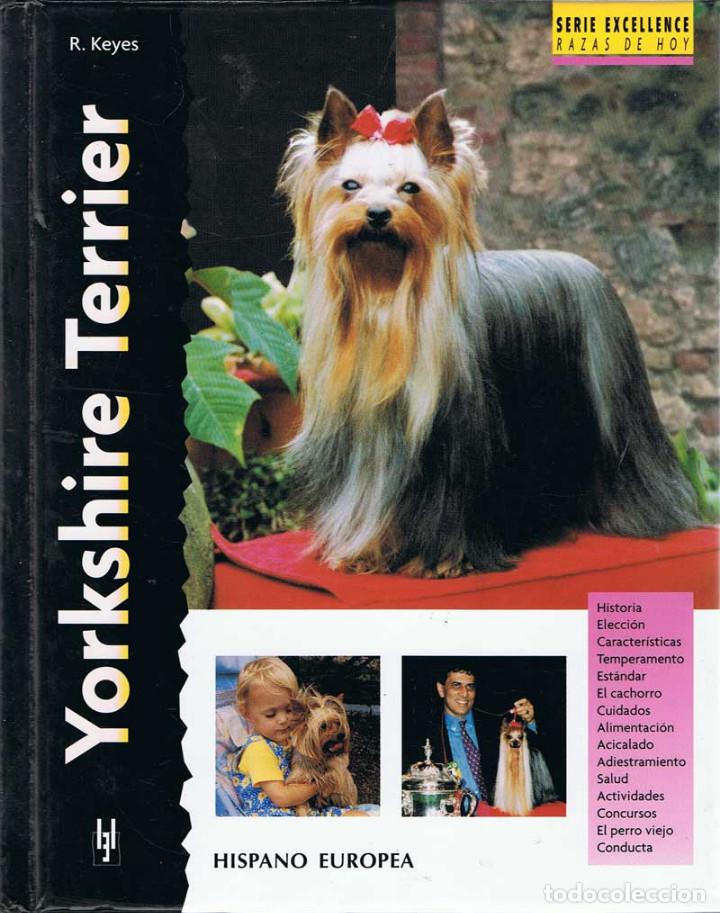 Libros de segunda mano: Yorkshire Terrier - R. Keyes - Foto 1