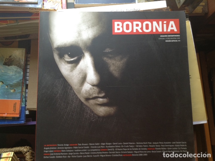 Libros de segunda mano: Boron&iacute;a. 2.009 #0 - Foto 1