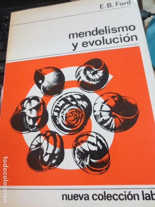 Libros de segunda mano: MENDELISMO Y EVOLUCI&Oacute;N E.B. FORD EDIT LABOR A&Ntilde;O 1968 - Foto 1