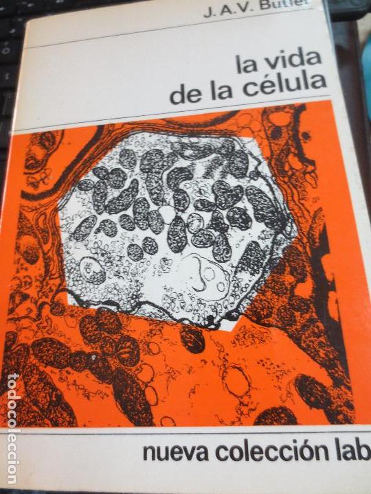 Libros de segunda mano: LA VIDA DE LA C&Eacute;LULA J.A.V. BUTLER A&Ntilde;O 1966 - Foto 1