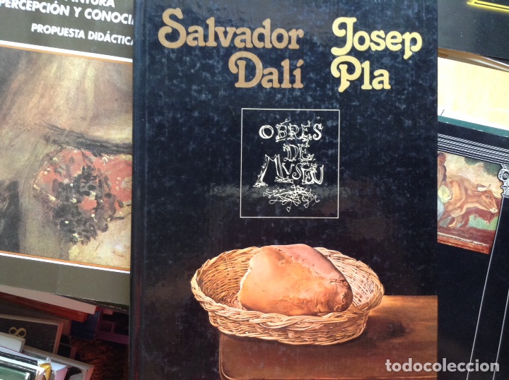 Libros de segunda mano: Salvador Dal&iacute; Josep Pla - Foto 1