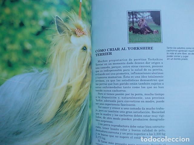 Libros de segunda mano: El Yorkshire Terrier - Foto 2