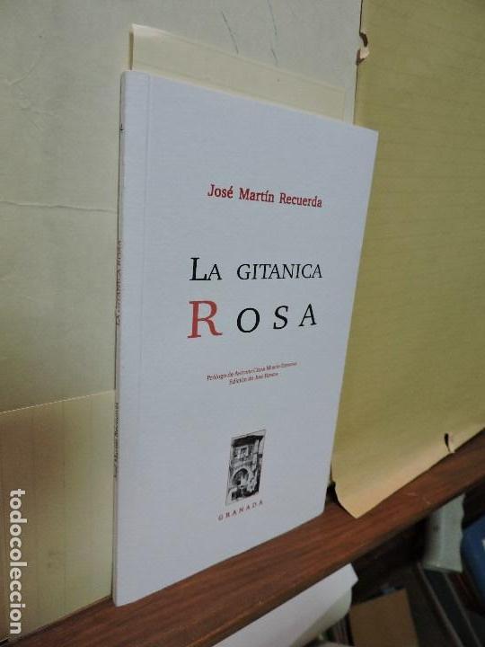Libros de segunda mano: La Gitana Rosa. MART&Iacute;N RECUERDA, Jos&eacute;. Granada 2007 - Foto 1