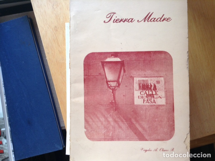 Libros de segunda mano: Tierra madre. Virgilio A. Olano - Foto 1