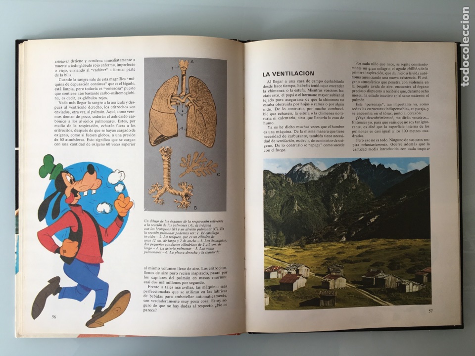 Libros de segunda mano: ENCICLOPEDIA DISNEY - 4 TOMOS 1982 - Foto 3