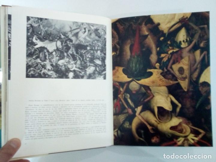 Libros de segunda mano: A&ntilde;o 1964-66. 5LIBROS DE MUSEOS. - Foto 14