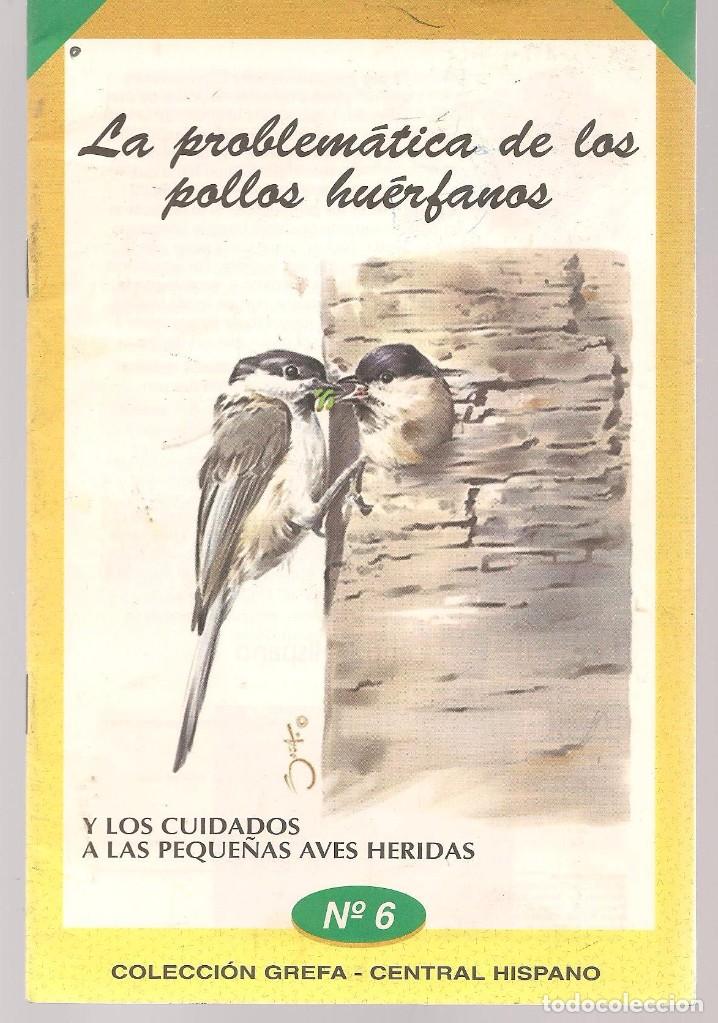 Second hand books: LA PROBLEM&Aacute;TICA DE LOS POLLOS HU&Eacute;RFANOS Y LOS CUIDADOS A LAS PEQUE&Ntilde;AS AVES HERIDAS N 6. grefa (Z/C6)