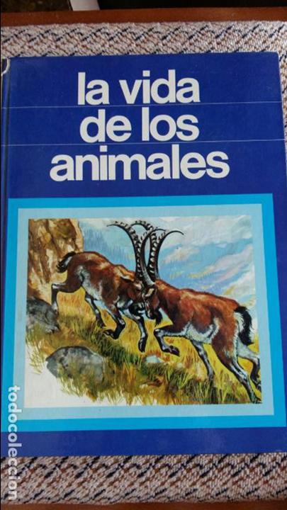 Libros de segunda mano: LA VIDA DE LOS ANIMALES. ANGELA SHEEHAN. 1973 - Foto 1