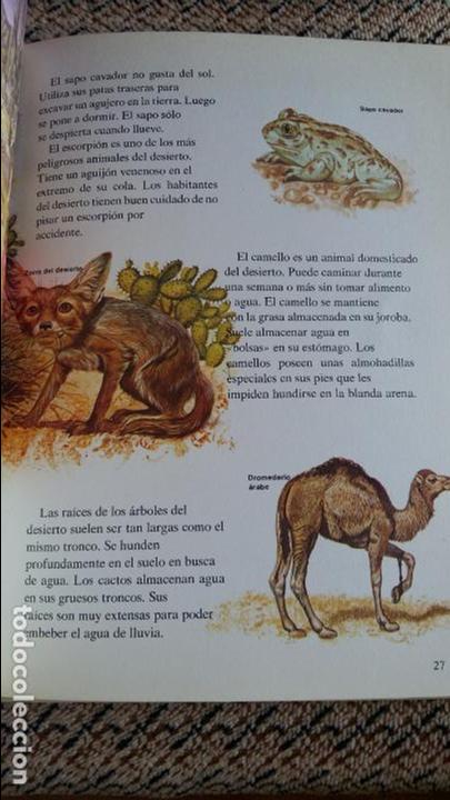 Libros de segunda mano: LA VIDA DE LOS ANIMALES. ANGELA SHEEHAN. 1973 - Foto 2