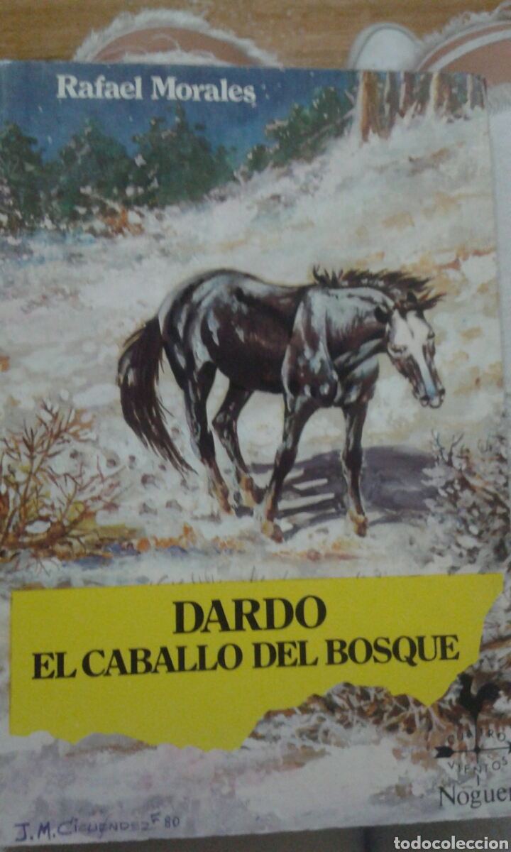Libros de segunda mano: Dardo el caballo del bosque - Foto 1