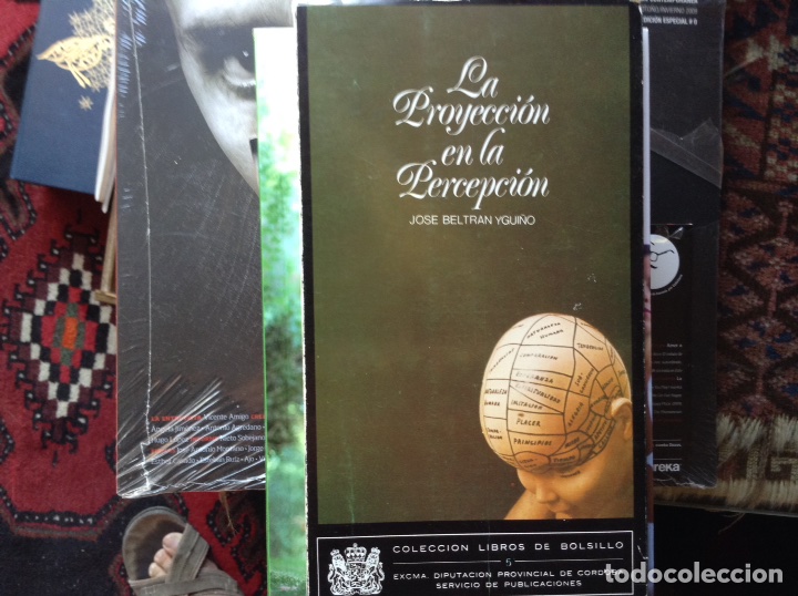 Libros de segunda mano: La proyecci&oacute;n en la percepci&oacute;n. Jos&eacute; Beltr&aacute;n - Foto 1