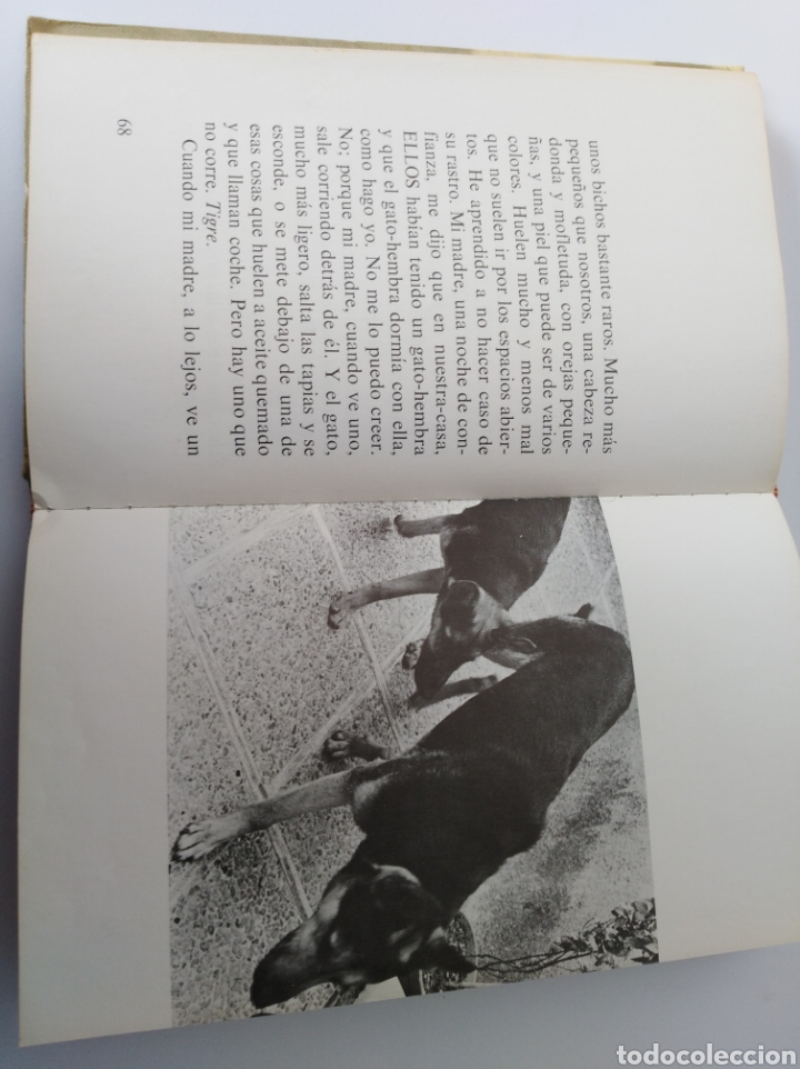 Libros de segunda mano: Cachorro - Foto 2