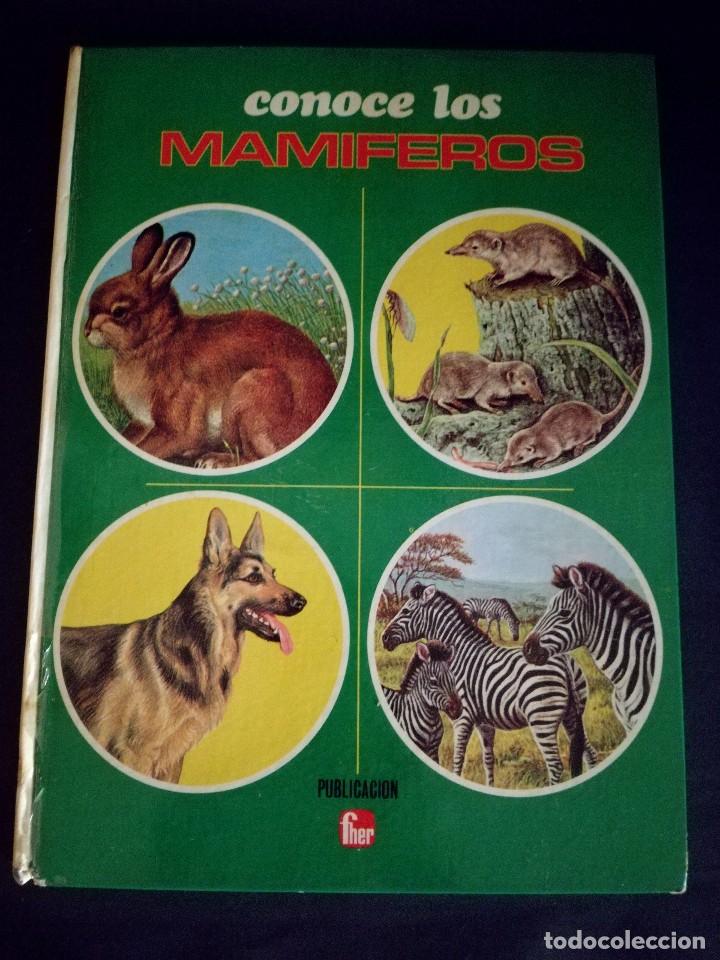 Libros de segunda mano: Libro conoce los mam&iacute;feros editorial fher. A&ntilde;o 1971 - Foto 1