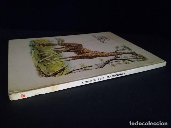Libros de segunda mano: Libro conoce los mam&iacute;feros editorial fher. A&ntilde;o 1971 - Foto 2