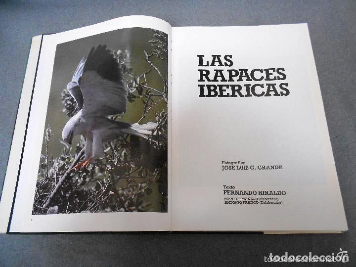 Libros de segunda mano: LAS RAPACES IBERICAS - FERNANDO HIRALDO - Foto 2