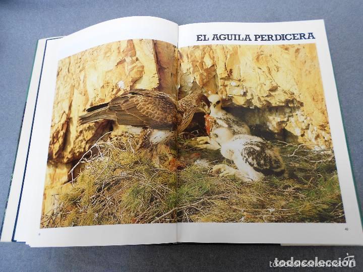 Libros de segunda mano: LAS RAPACES IBERICAS - FERNANDO HIRALDO - Foto 3