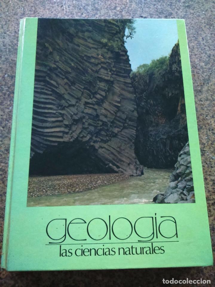 Libros de segunda mano: LIBRO GUINNESS DE LOS RECORDS 1992 -- JORDAN 1991 -- - Foto 2