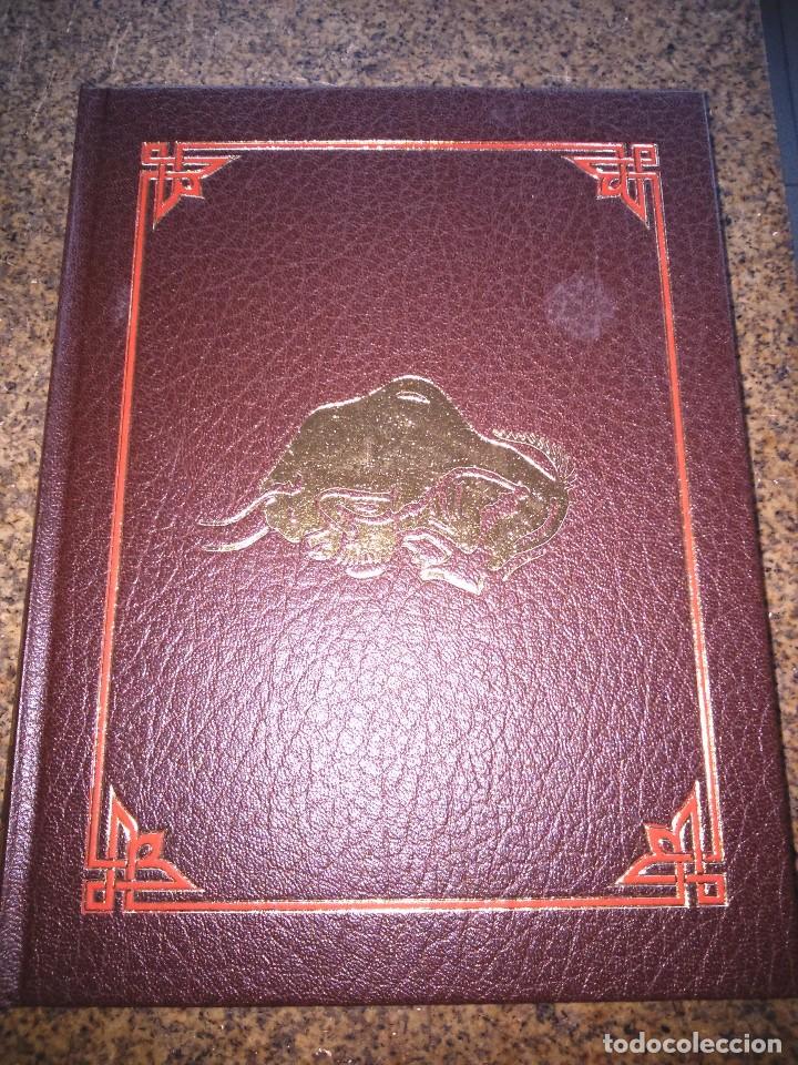 Libros de segunda mano: CUEVAS DE ESPA&Ntilde;A -- EDITOPRIAL EVEREST 1985 -- - Foto 3
