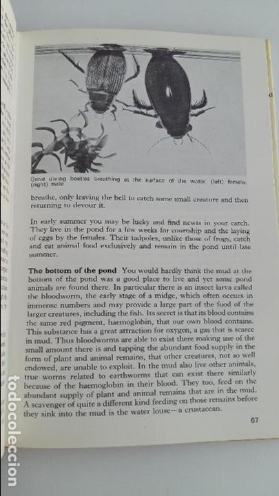 Libros de segunda mano: HOBBIES FOR BOYS. LESLIE JACKMAN. 1968. ESCRITO EN INGLES - Foto 3