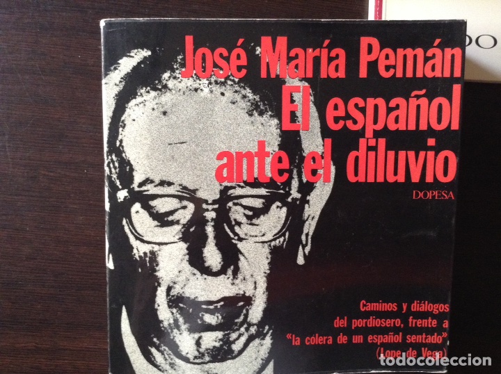 Libros de segunda mano: El espa&ntilde;ol ante el diluvio. Jos&eacute; Mar&iacute;a Pem&aacute;n - Foto 1