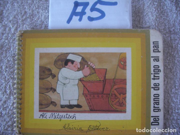 Libros de segunda mano: DEL GRANO DE TRIGO AL PAN - Foto 1