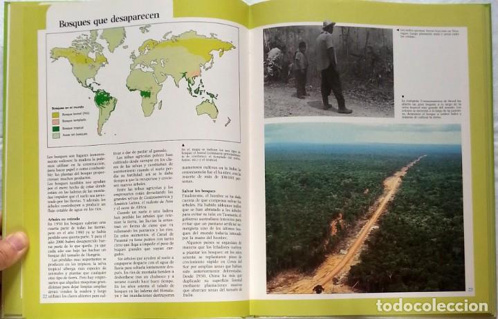 Libros de segunda mano: El Planeta Tierra &ndash; David Lambert - Foto 3