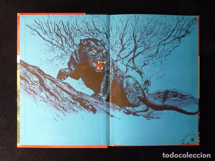 Libros de segunda mano: DAKTARI, IVAN TORS. EDITORIAL FHER, 1971. COMO NUEVO - Foto 2