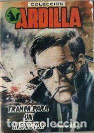 Libros de segunda mano: Coleccion Ardilla volumen n&ordm; 231 - Foto 1