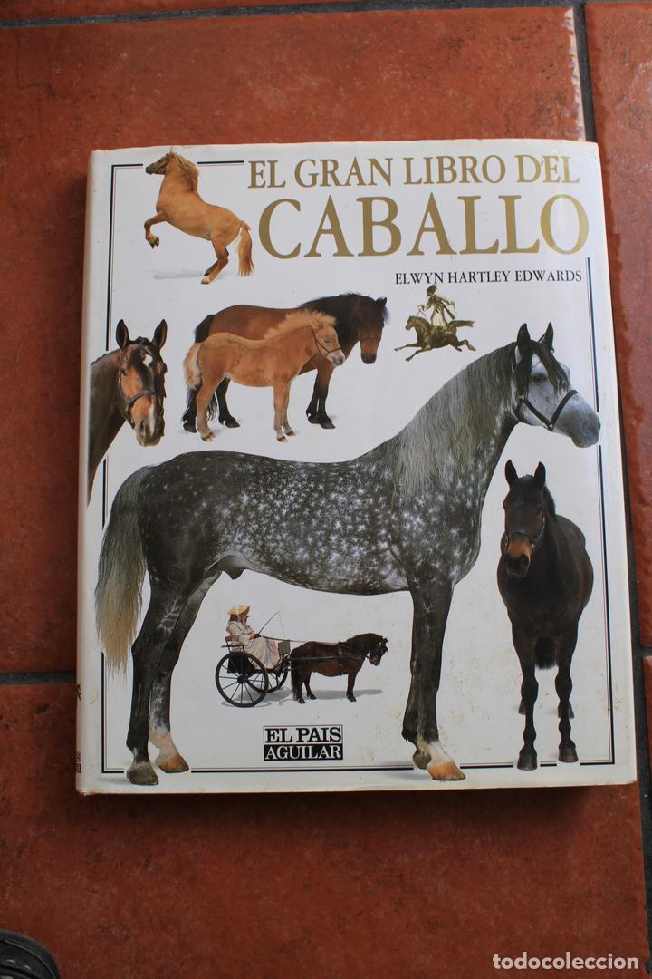 Libros de segunda mano: EL GRAN LIBRO DEL CABALLO: ELWYN HARTLEY EDWARS - Foto 1