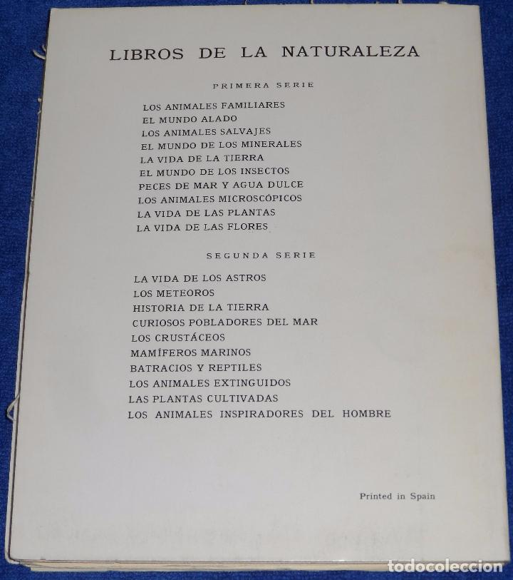 Libros de segunda mano: Los meteoros - NICOL&Aacute;S SAMA P&Eacute;REZ - Espasa-Calpe (1969) - Foto 4