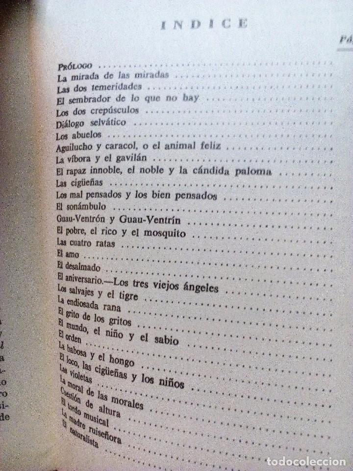 Libros de segunda mano: F&Aacute;BULAS DEL ERRABUNDO TOMAS MEABE 1980 - Foto 4