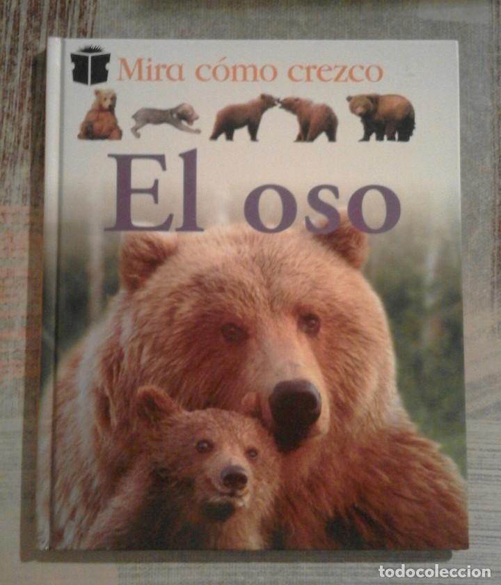 Libros de segunda mano: Mira c&oacute;mo crezco: El oso - Edeb&eacute; 2004 - Foto 1
