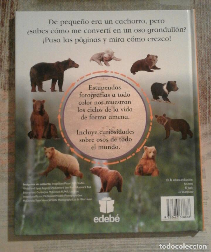Libros de segunda mano: Mira c&oacute;mo crezco: El oso - Edeb&eacute; 2004 - Foto 2