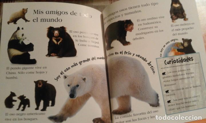 Libros de segunda mano: Mira c&oacute;mo crezco: El oso - Edeb&eacute; 2004 - Foto 3
