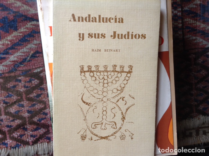 Libros de segunda mano: Andaluc&iacute;a y sus jud&iacute;os. Haim Beinart - Foto 1