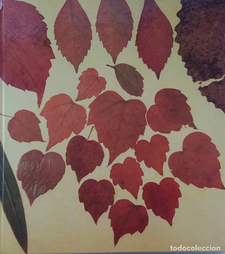 Libros de segunda mano: FESTIVAL DE OTO&Ntilde;O EN MADRID 1984 - 1988. LIBRO