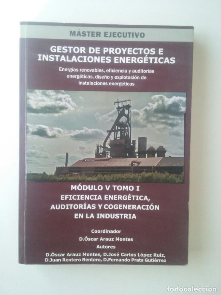 Libros de segunda mano: M&aacute;ster ejecutivo gestor de proyectos e instalaciones energ&eacute;ticas - &Oacute;scar Arauz Montes (Coord.)