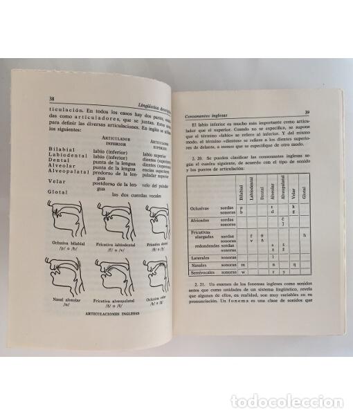 Libros de segunda mano: INTRODUCCI&Oacute;N A LA LING&Uuml;&Iacute;STICA DESCRIPTIVA. GLEASON, H. A. . Editorial Gredos. 1970. - Foto 3
