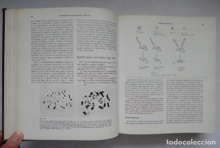 Libros de segunda mano: GEN&Eacute;TICA, MONROE W. STRICKBERGER - Foto 3