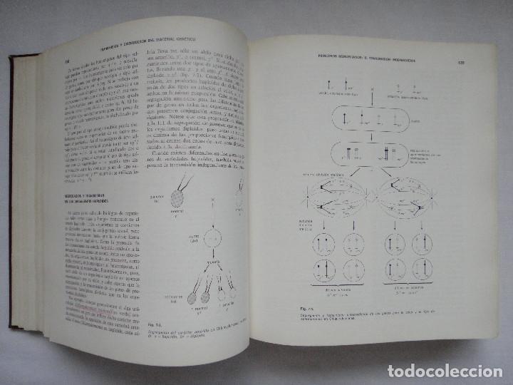 Libros de segunda mano: GEN&Eacute;TICA, MONROE W. STRICKBERGER - Foto 4