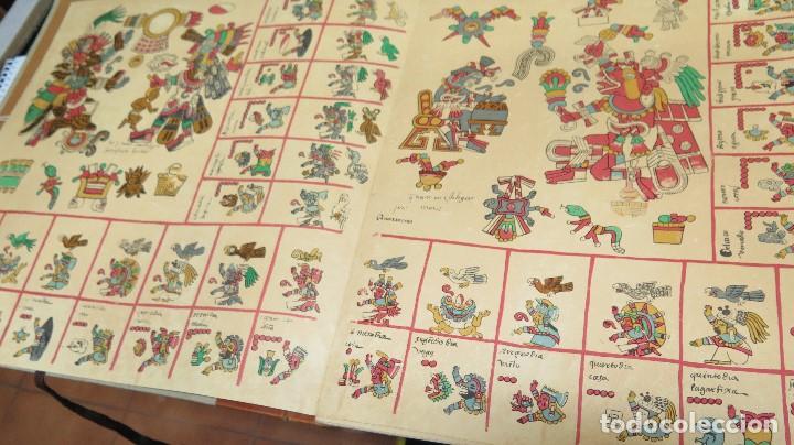 Libros de segunda mano: CODICE BORBONICO. FRANCISCO DEL PASO. FACSIMIL. 1500 EJEMPLARES - Foto 12