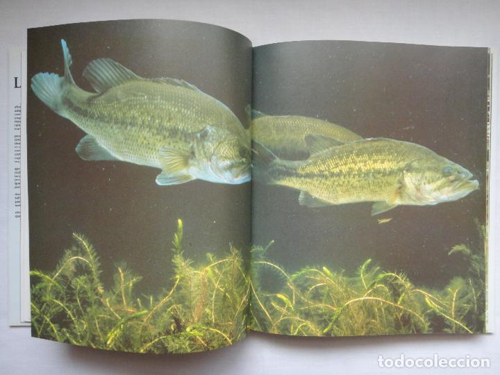 Libros de segunda mano: EL GRAN LIBRO DE LA PESCA Y SUS T&Eacute;CNICAS; IBERLIBRO. EXCELENTE ESTADO!!! - Foto 5