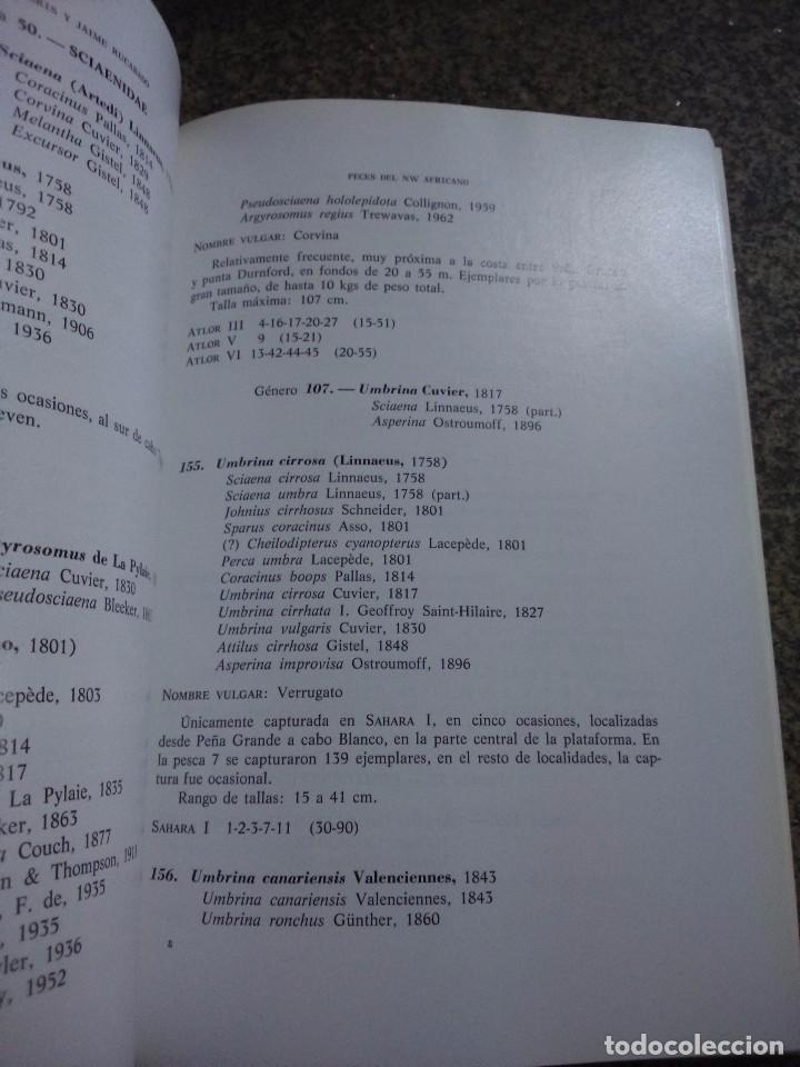 Libros de segunda mano: RESULTADOS EXPEDICIONES CIENTIFICAS DEL BUQUE OCEANOGRAFICO CORNIDE DE SAAVEDRA -- N&ordm; 8 -- - Foto 2