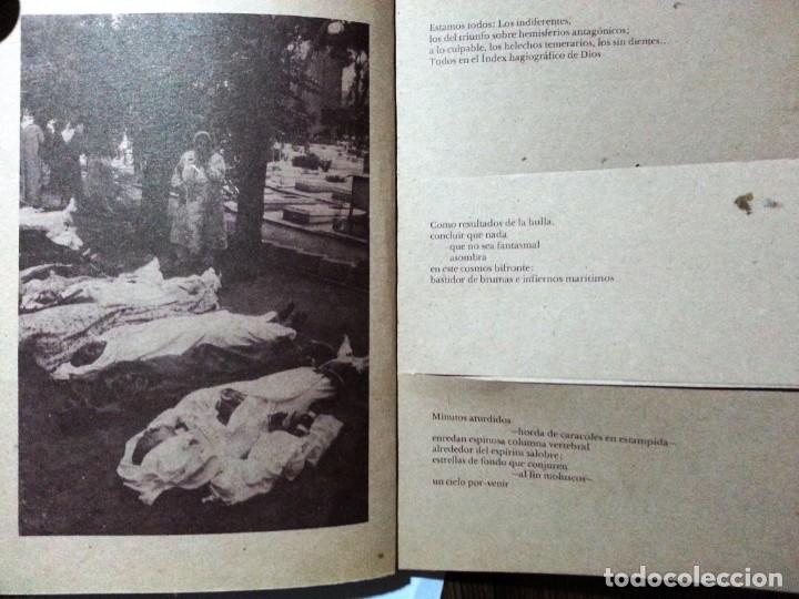 Libros de segunda mano: Sinestesia. Elizalde, Guadalupe. 1&ordf; Edicion. - Foto 2