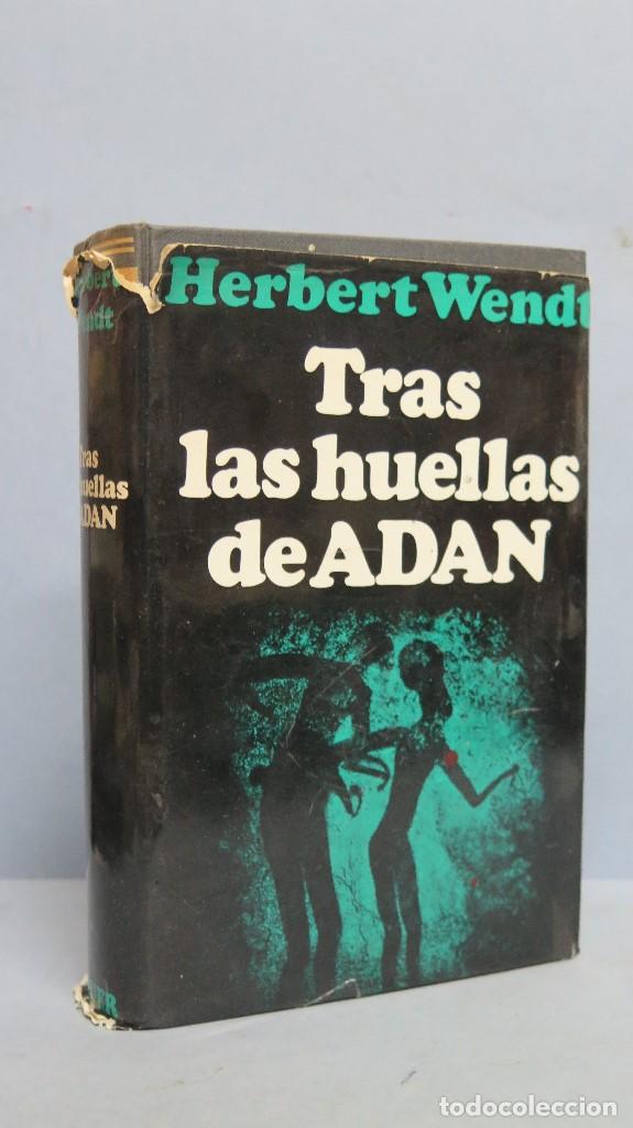 Libros de segunda mano: TRAS LAS HUELLAS DE AD&Aacute;N. EL ORIGEN DEL HOMBRE. HERBERT WENDT - Foto 1